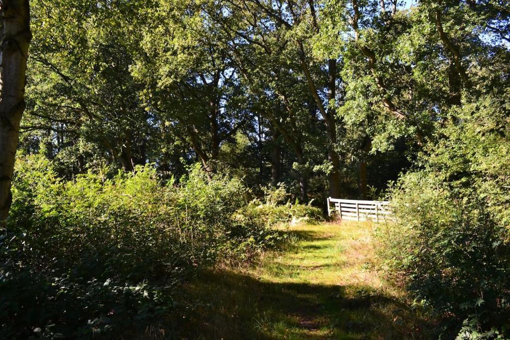 De Specht Villa Anloo Eksteriør bilde